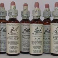 Bach Flower Remedies personal remedy blend: $25.00