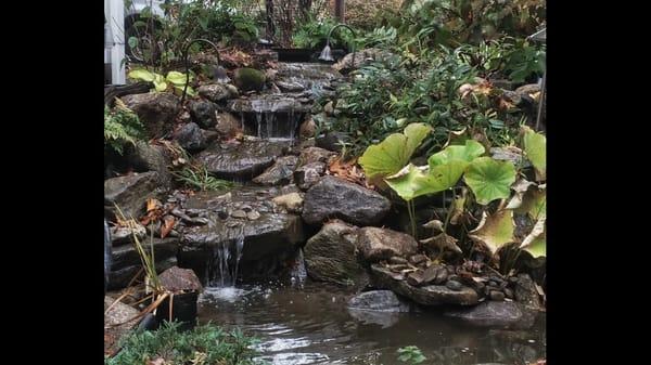 A closer view of the Westwood water feature