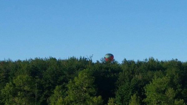 Hot air balloon over the tree line