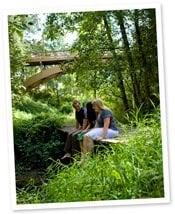 Our campus is a beautiful, tree-shaded property in the city of Newberg.