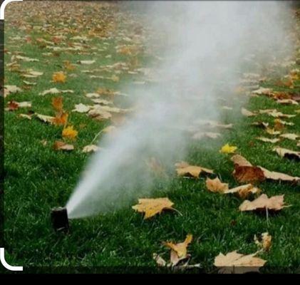 We provide sprinkler blowouts