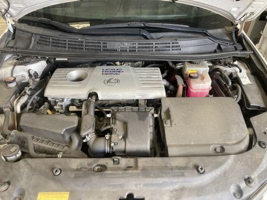 Lexus CT Hybrid came in for an engine replacement. Engine bay was also dirty.