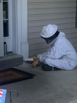 Yellow jackets burrowed into front door step on porch!