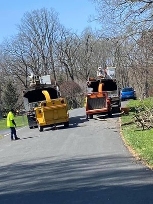 Landsdown Tree Service