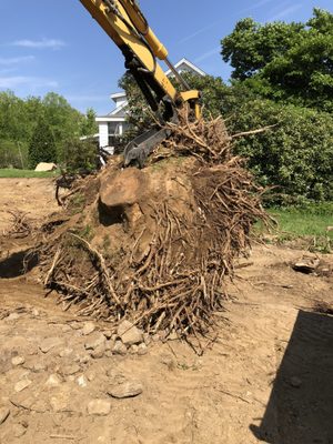 Excavating & Site Work: Stubborn tree stump removed from building site.