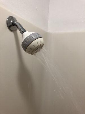 Clogged shower head