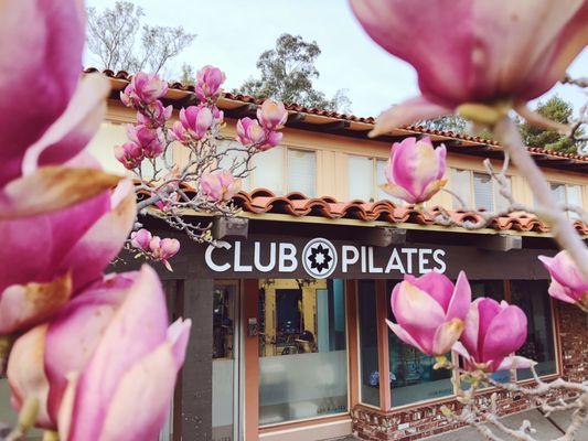 Club Pilates