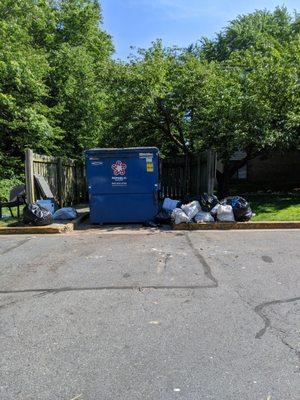 A normal amount of trash around the complex