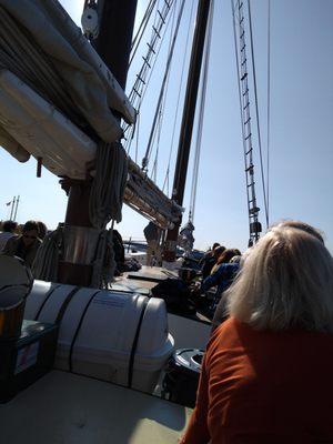 Sailing on the Appledore IV