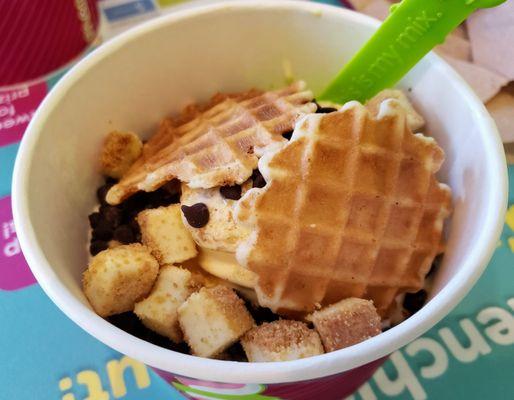 Fro-yo concoction at Menchies Homestead