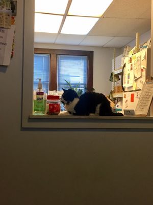 Good receptionist