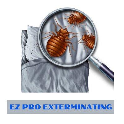 Ez Pro Exterminating