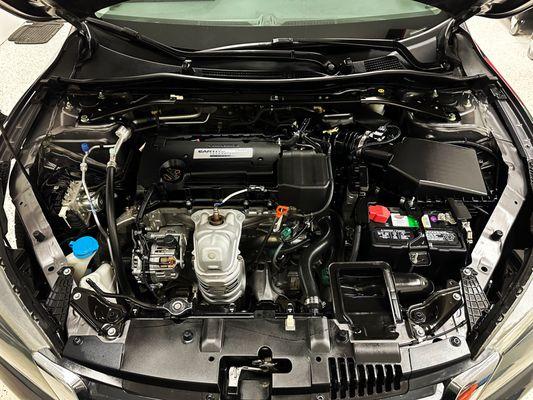 Engine bay is nice and clean! No dust, dirt, or oil!