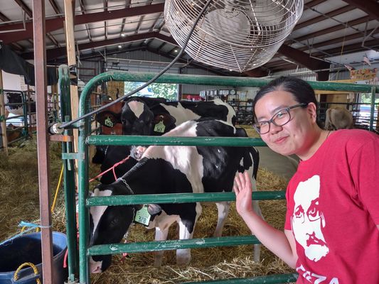 Checking out the animal barns.