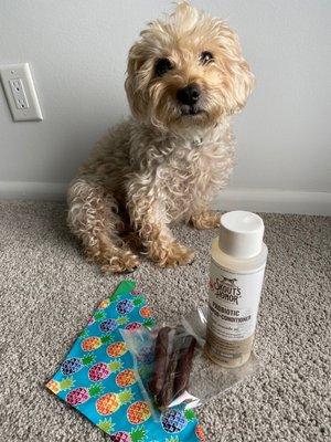 Puppers supplies! Bandana, treats and shampoo!