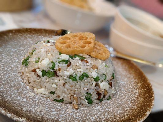 Wild Mushroom Fried Rice