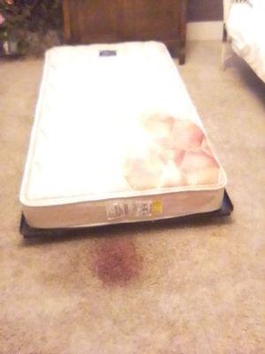 Mattress and floor with blood at hotel room @ 210 W 3rd St