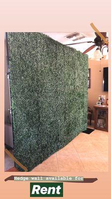 Hedge backdrop available for rent. Decor added per request.