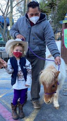 Some Friday mornings, students can be greeted by one of our three ponies. This is Miss Katy!