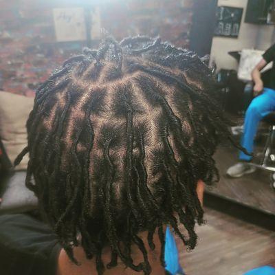 Starter locs