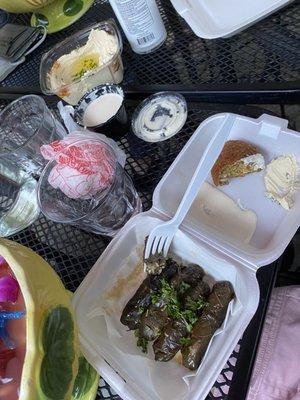 Vegetarian grape leaves, hummus, and falafel