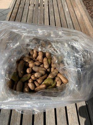 Cajun Boiled Peanuts