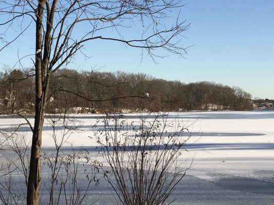 Farm Pond