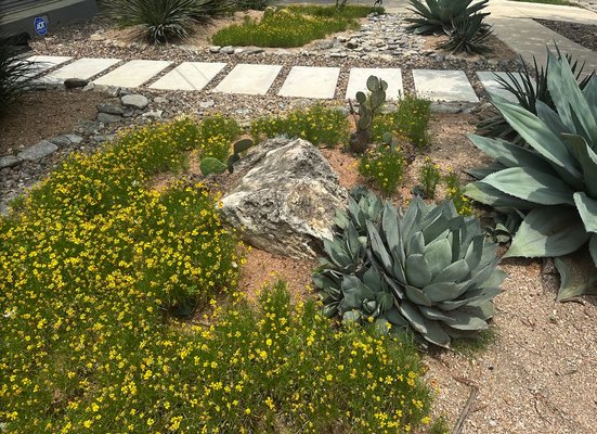 The team added modern pavers, and beautiful native landscaping plants to this contemporary xeriscape. Xeriscaping rocks!