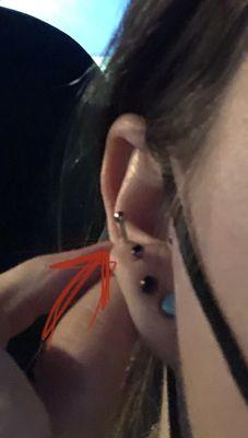 Stem way too long for piercings. Causing pain and piercings is taking longer to heal.