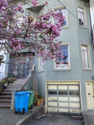 Coming soon! A Duplex in the Inner Richmond District of San Francisco.