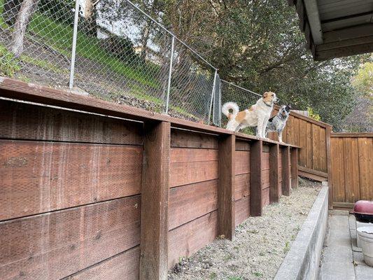 Wooden retaining wall