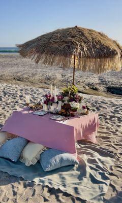 Beach or Backyard, luxury picnics for your occasion