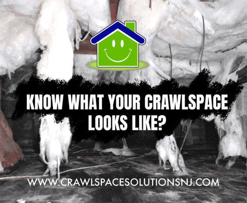 Know what your crawlspace looks like? Hire a Pro Today!