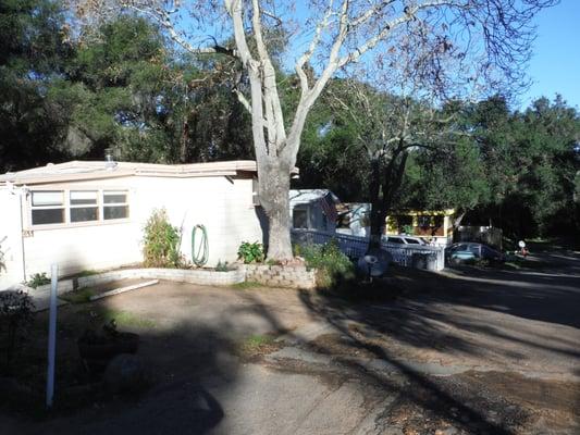 Low cost space rentals in beautiful old growth Oak tree mountain setting minutes from central Escondido