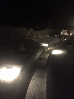 Newly installed path lights being tested by winter