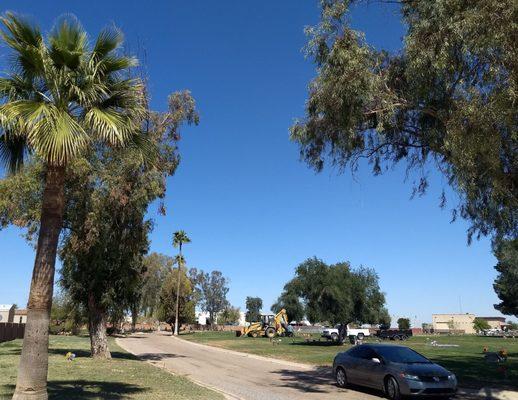 The northern segment of the cemetery.