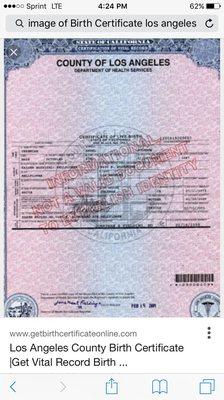 Certified Translations Rush Birth Certificates Dba Filings