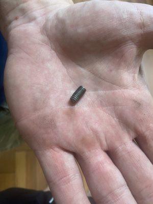 The broken 10mm sensor bolt I unscrewed by hand