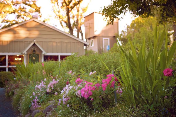 Mountain Vista Farm, flowers in the garden