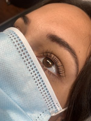 Eyelash Lift w/ Tint