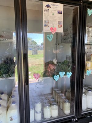 Refrigerator with produce, milk & eggs