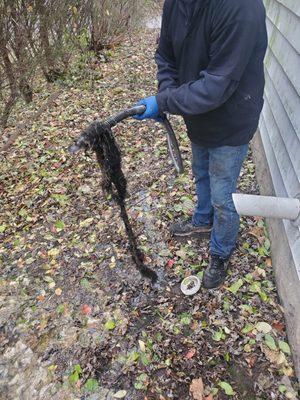 Removal of roots in a sewer line.