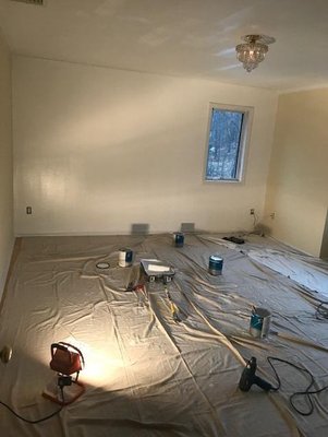 Wall Paper Removal