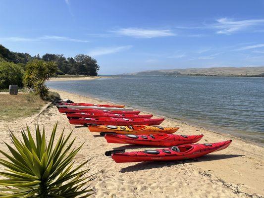 Tomales Bay Expeditions