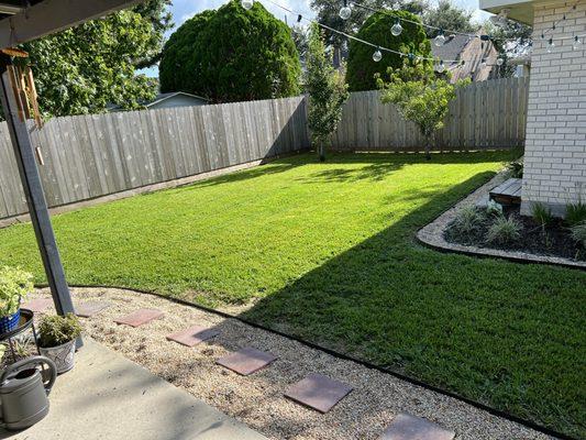 Backyard of cut grass.