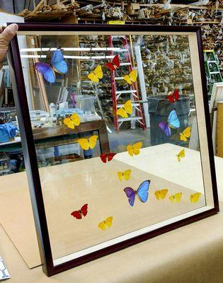 Floating butterflies, just finished in our shop in Rockville.