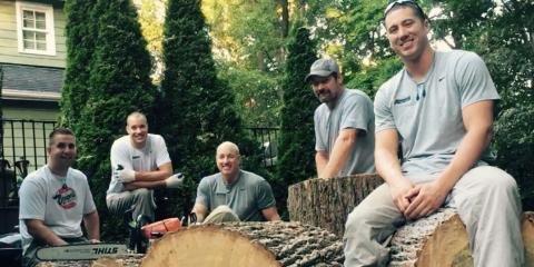 Brown's Tree Service & Landscaping LLC