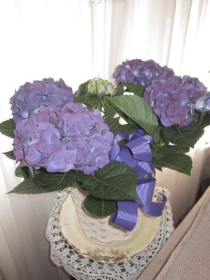 Beautiful hydrangea Easter 2023!