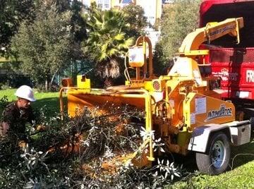 chipping of fallen trees and vegetation