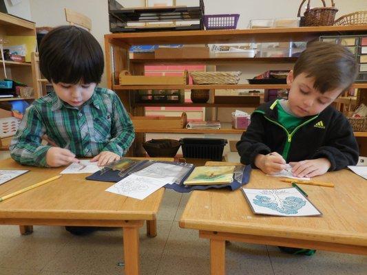 Primary children work in one of our four Primary classrooms